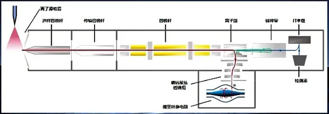 安益谱 | 国内首台四极杆-傅里叶静电阱液质高分辨联用仪问世!(图5) 安益谱 | 国内首台四极杆-傅里叶静电阱液质高分辨联用仪问世!(图5)